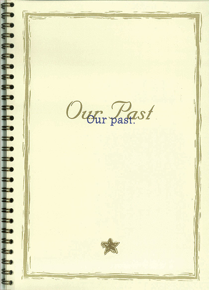 Merlin Muffler & Brake Brochure